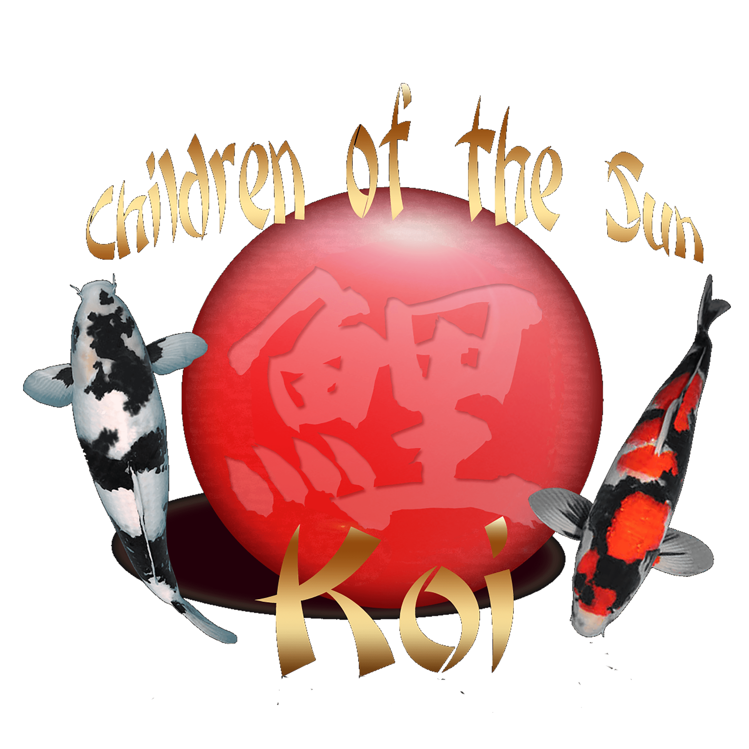  Children of the Sun Koi