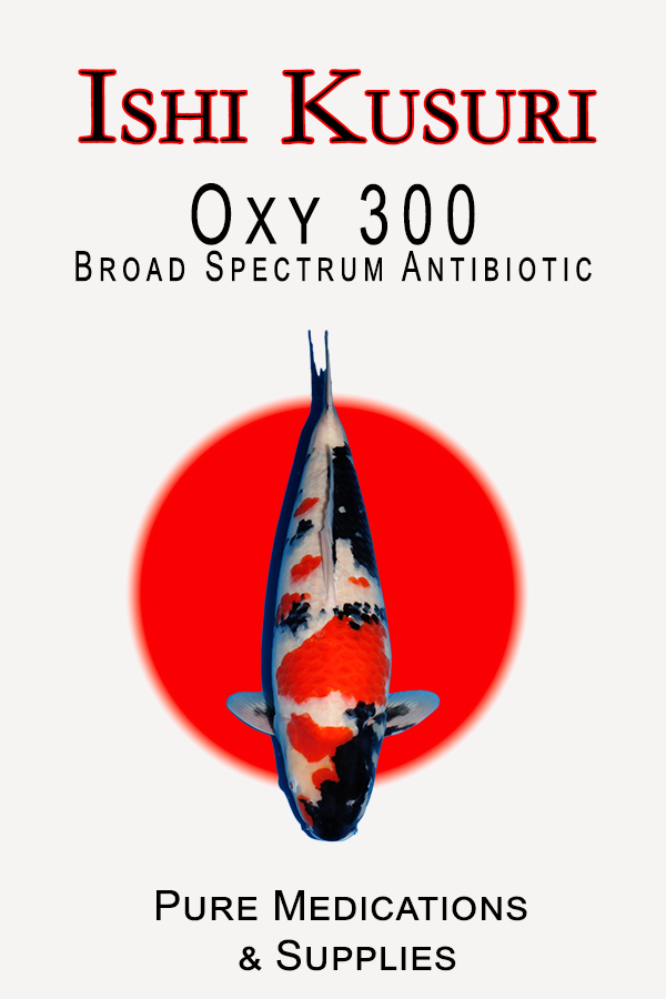 Ishi Kusuri Oxy 300 1