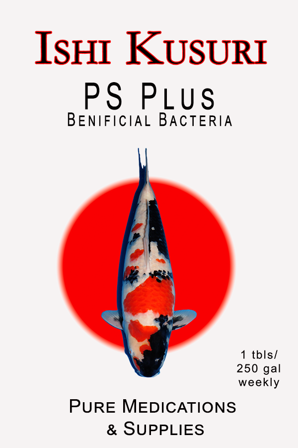 Ishi Kusuri PS Plus 1
