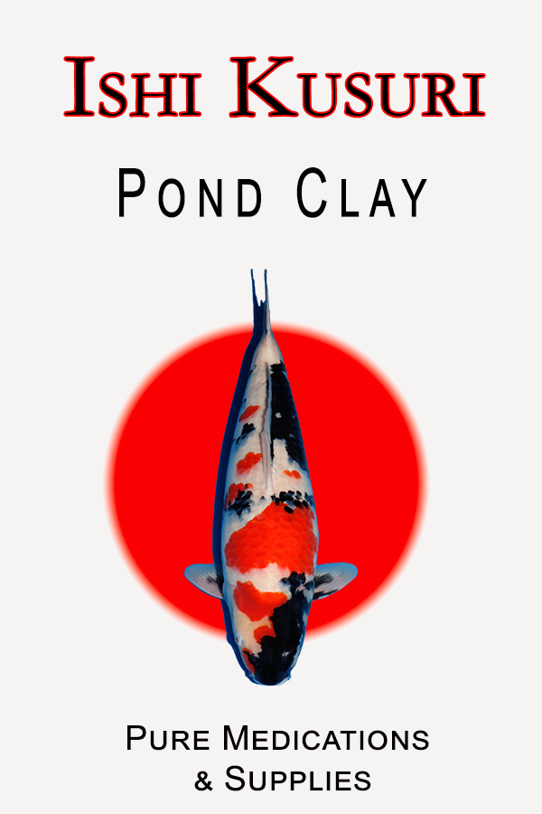 Ishi Kusuri Pond Clay 1