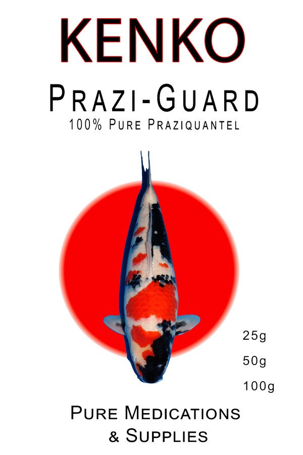 Kenko Prazi Guard 1