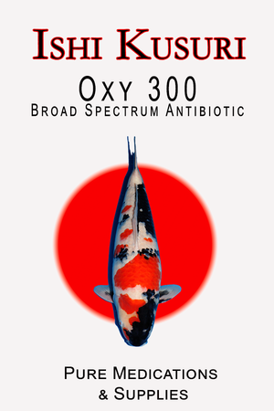 Ishi Kusuri Oxy 300