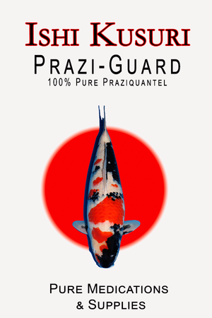 Ishi Kusuri Prazi Guard
